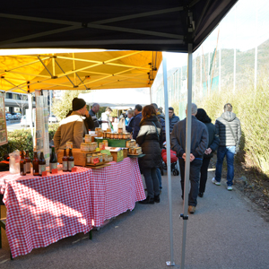 ancora successo oltrygas