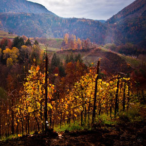 Valle di Cembra